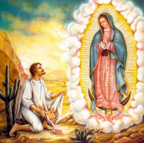 our lady of guadalupe.jpg