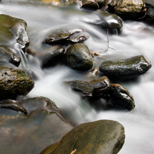 Flowing Waters