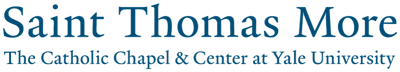 STM Logo