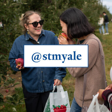 STMYale Graphic