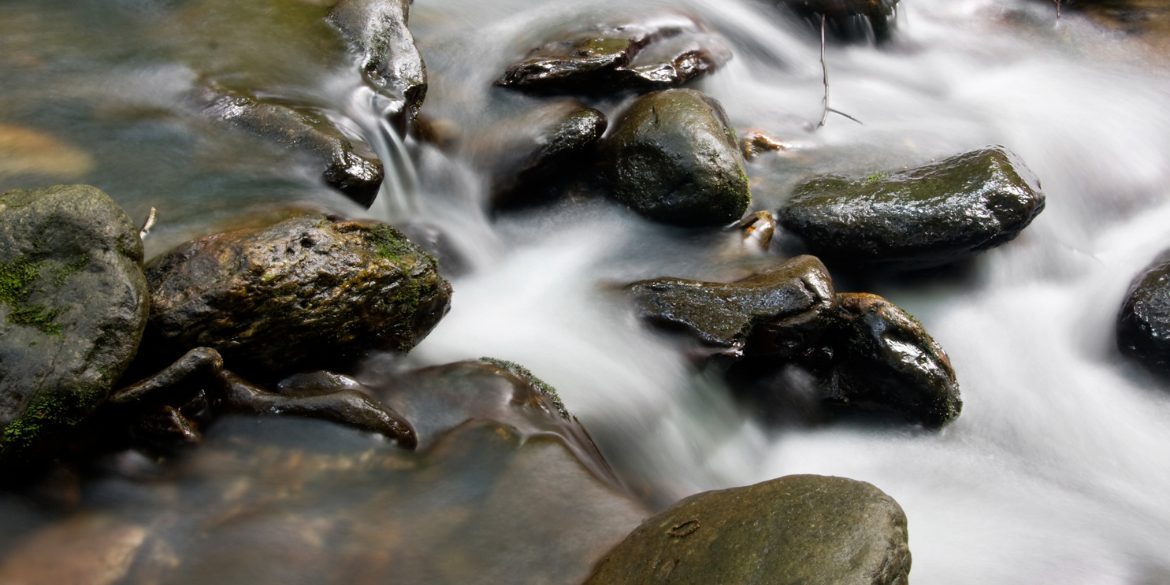 Tuesday of the Fourth Week of Lent: Flowing Waters